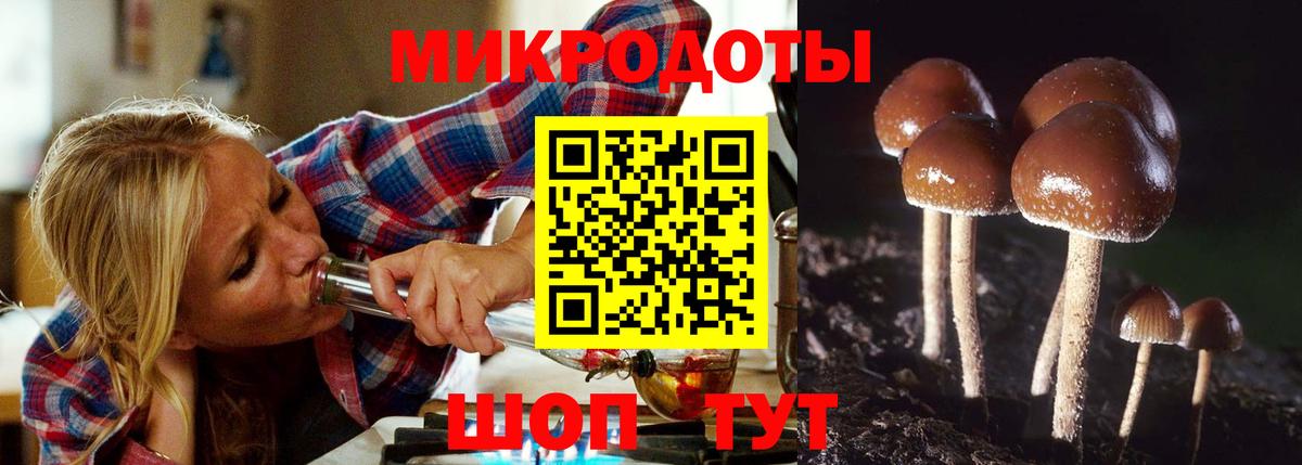 Хабаровск  купить наркоту  Вход с VPN  Галлюциногенные грибы Psilocybine cubensis 